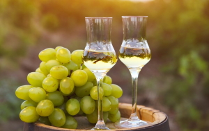 grappa Эксклюзив оптом с доставкой по России